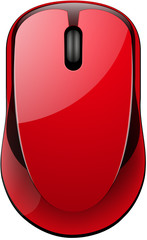computer mouse