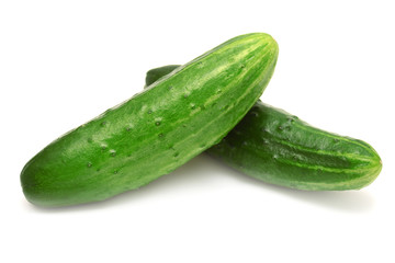 Cucumber