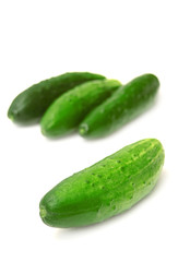 Cucumber