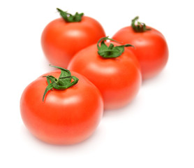 Tomato