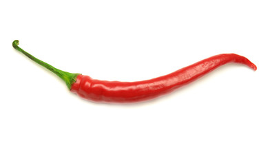Red hot chili pepper