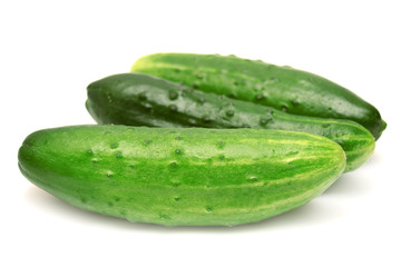 Cucumber