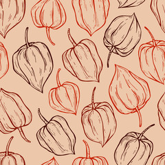Vector seamless pattern of physalis
