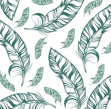 Vector seamlessbackground with  feathers