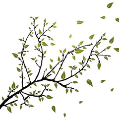 Branch with leaves