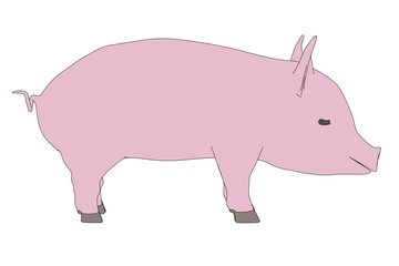 cartoon image of little pig