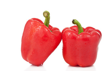 Rote Paprika