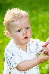 Baby girl portrait on the summer meadow