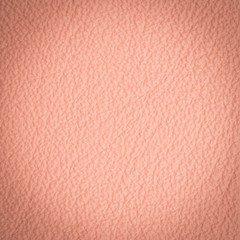 Red leather macro shot