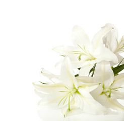 Obraz na płótnie Canvas a fragment of white lilies ' bunch on a white background