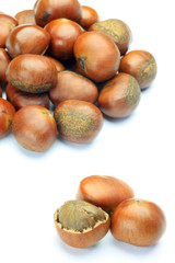 sweet broiled chestnut