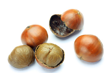 sweet broiled chestnut