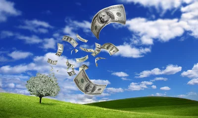 .fallende Dollarnoten vom Geldbaum © Mikael Damkier