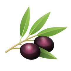 Isolated olive's branch