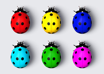 Colored ladybugs