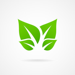 Eco icon green leaf vector illustration isolated