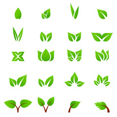 Eco icon green leaf vector illustration isolated