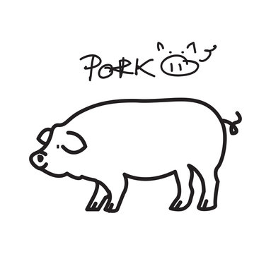 Vector and illustrator image of pig