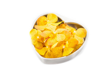 beautiful yellow orchid isolated on white