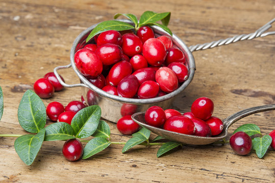 still life with cranberries