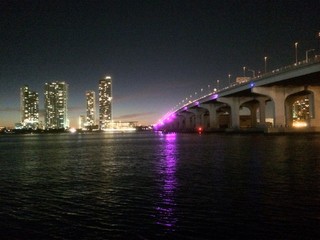 miami city view of downtown Floride USA