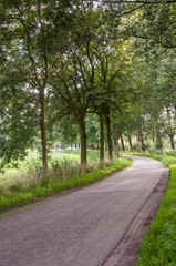 Fototapeta na wymiar Curved country road in the Netherlands