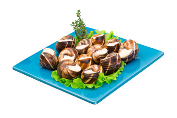 Escargot