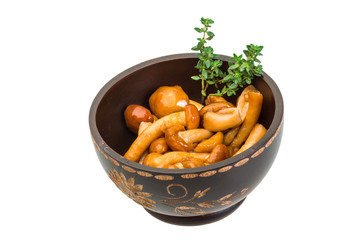 Armillaria