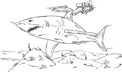 diver with a shark