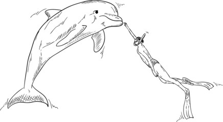 dolphin 1 © Pavel Bortel