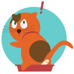 red cat in toilet
