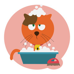 red cat washing