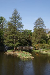 ogród botaniczny © lajdaczysko