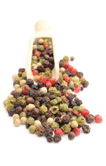 Colored pepper on a wooden spoon isolated on white background