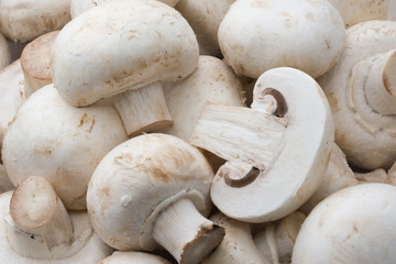 Champignon mushrooms