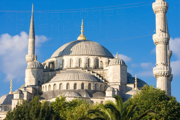 Obraz premium Blue Mosque