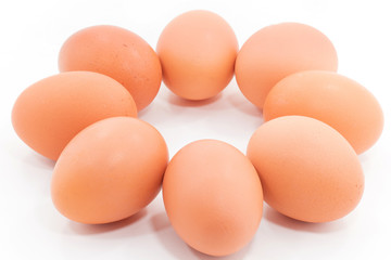 8 Egg