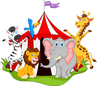 animals in circus cartoon