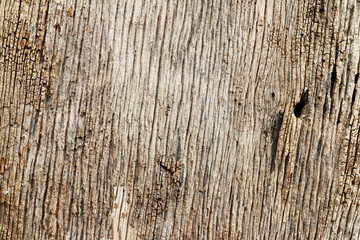 Obraz premium wood background