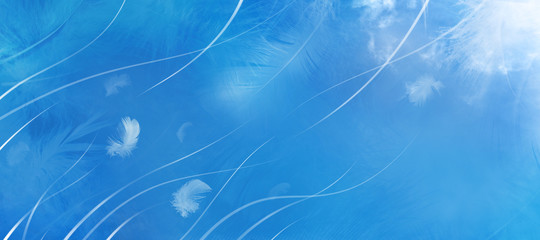 Abstract Feather Lines Sky