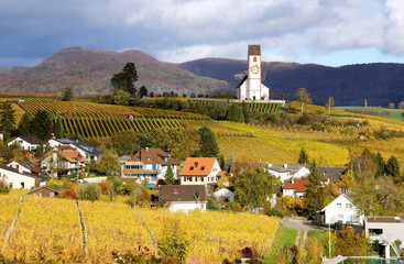 Vine yard region, Klettgau, Schaffhausen, Switzerland