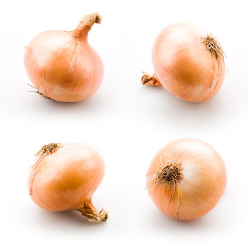 Ripe onion isolated on a white background