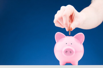 Money Savings - Coin and Piggy Bank