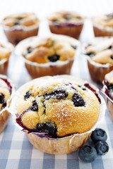 Blueberry Muffins