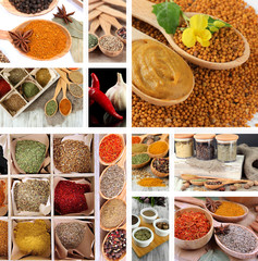 Spices collage