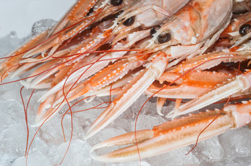 fresh dublin bay prawns