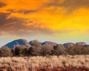 Gordijnen Australian outback in hot winter sunshine © jovannig