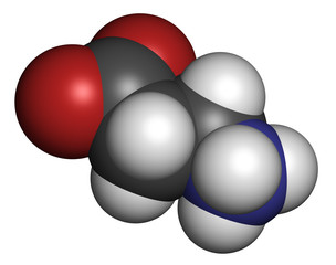 Beta-alanine molecule. Naturally occurring beta amino acid
