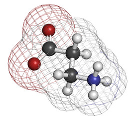 Beta-alanine molecule. Naturally occurring beta amino acid