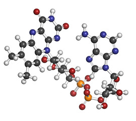 Flavin adenine dinucleotide (FAD) redox coenzyme molecule.